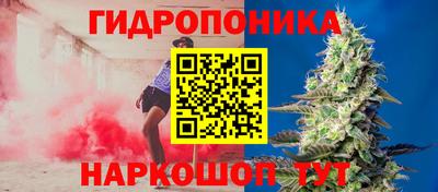 эйфоретик Камышлов