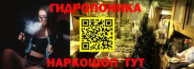 крисы Канаш