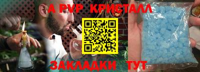 крисы Канаш