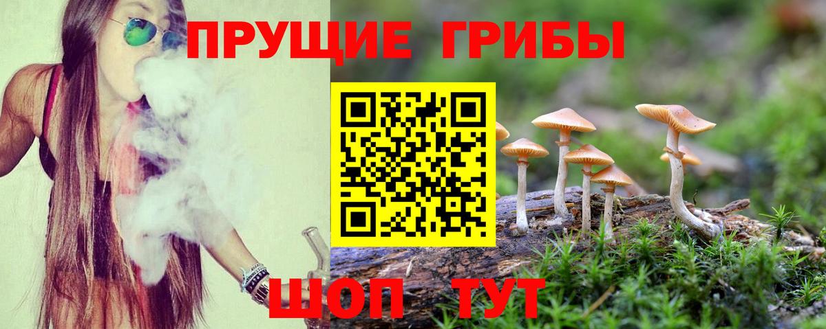 Галлюциногенные грибы GOLDEN TEACHER  Вход с VPN  Пенза  как найти   Псилоцибиновые грибы прущие грибы 