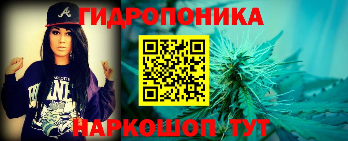 Бошки Шишки SATIVA & INDICA  Бошки марихуана ГИДРОПОН  Пенза  Каннабис семена  МАРИХУАНА Ganja 